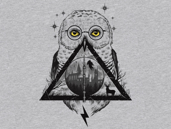 Owls and Wizardry