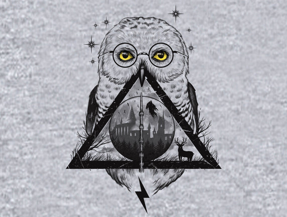 Owls and Wizardry