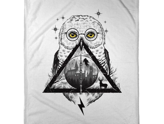Owls and Wizardry