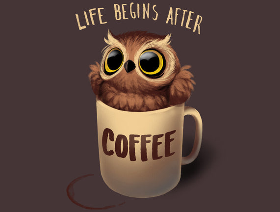 Night Owl