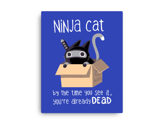 Ninja Cat