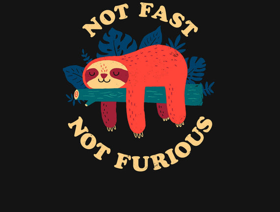Not Fast, Not Furious