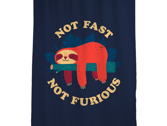 Not Fast, Not Furious