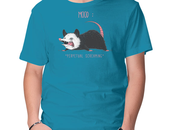 Mood Possum