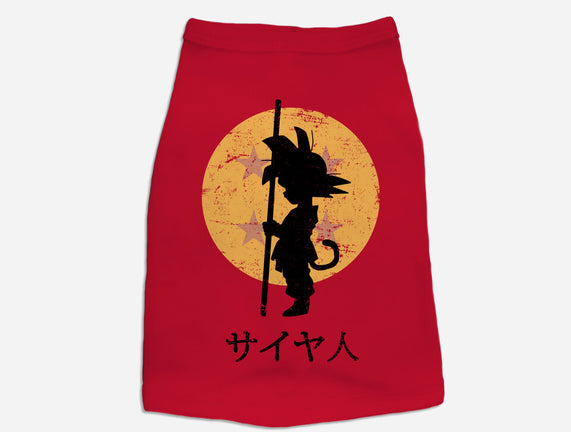 Looking for the Dragon