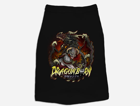 I Am The Dragonborn