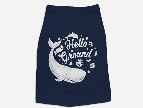 Hello Ground