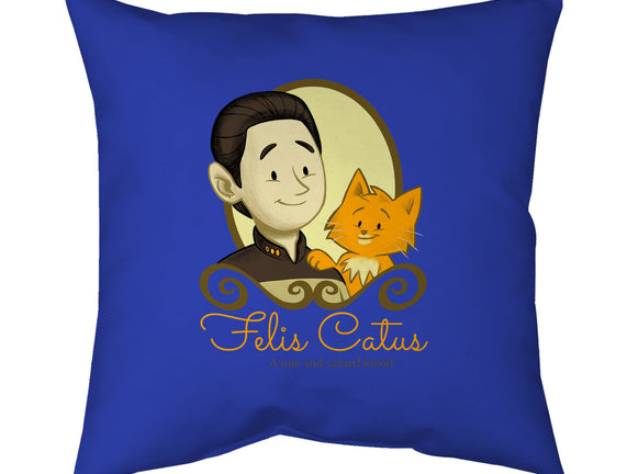 Felis Catus