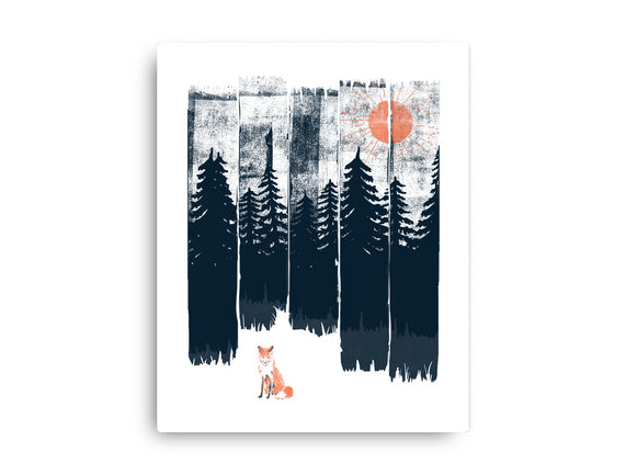 Fox In the Wild