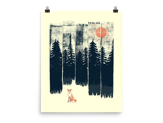 Fox In the Wild