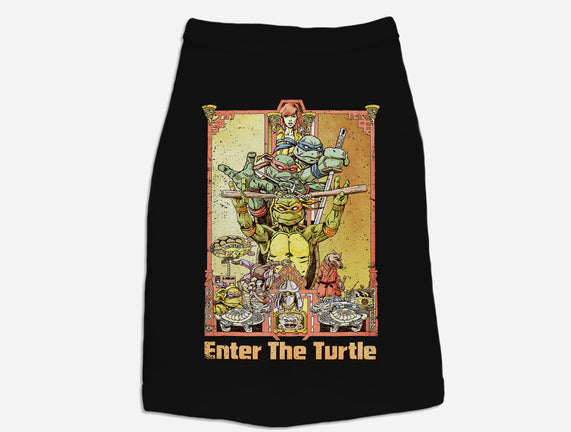 Enter the Turtle