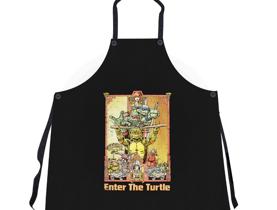 Enter the Turtle