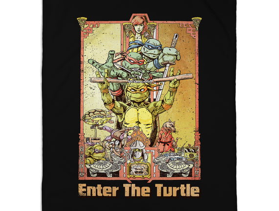 Enter the Turtle