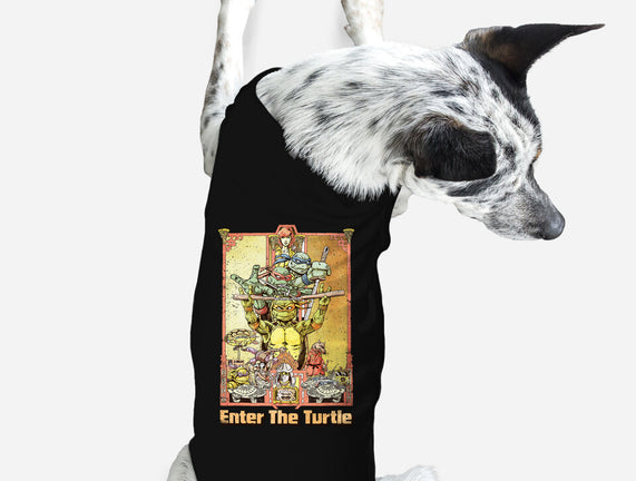 Enter the Turtle