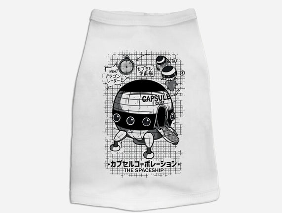 Capsule Spaceship