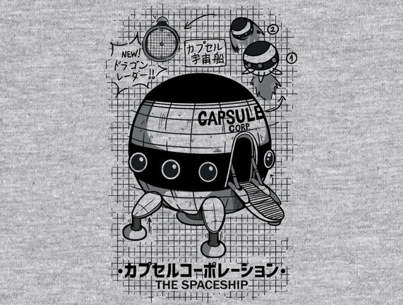 Capsule Spaceship