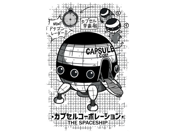 Capsule Spaceship