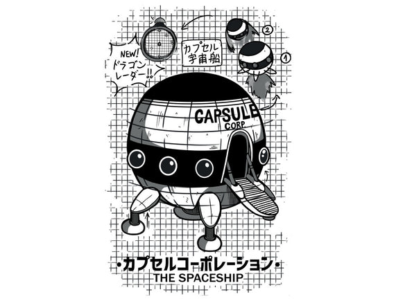 Capsule Spaceship