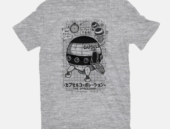 Capsule Spaceship