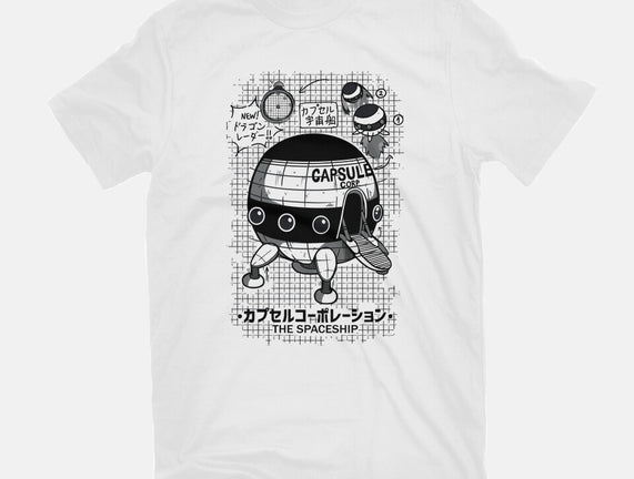 Capsule Spaceship
