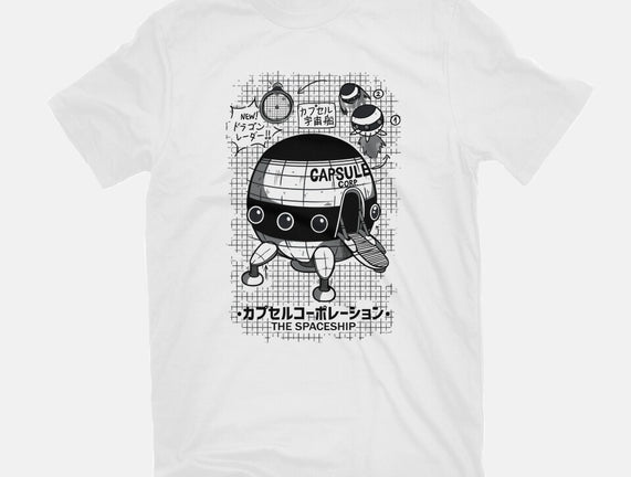 Capsule Spaceship