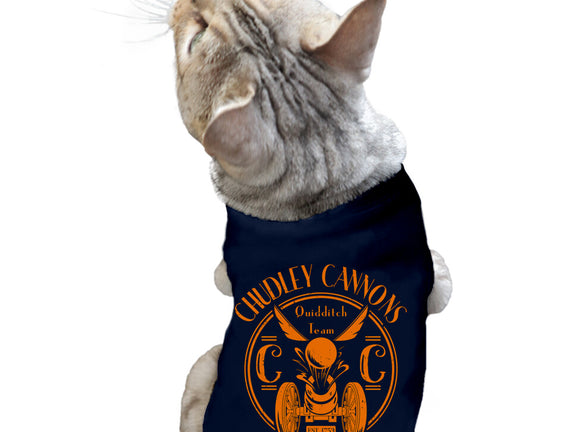 Chudley Cannons