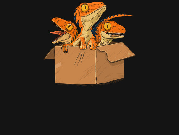 Adopt a Raptor