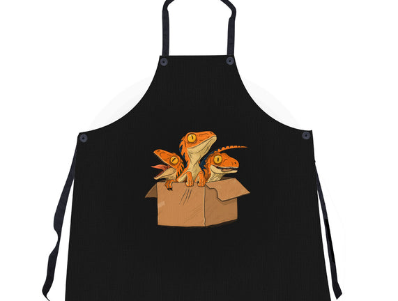 Adopt a Raptor