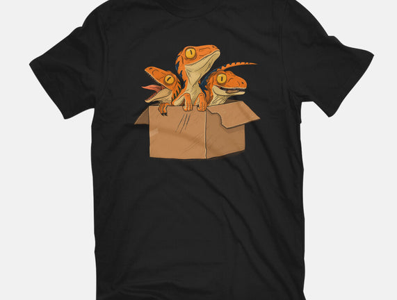 Adopt a Raptor