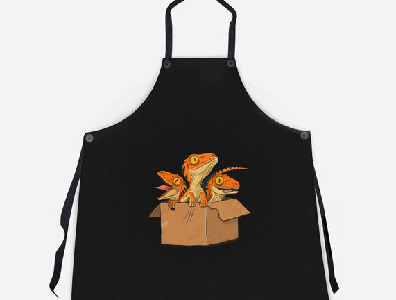 Adopt a Raptor