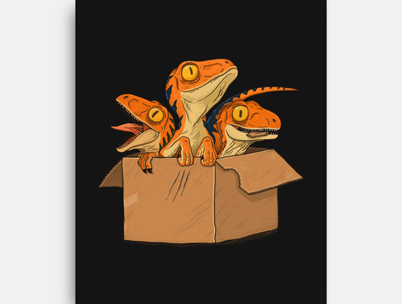 Adopt a Raptor