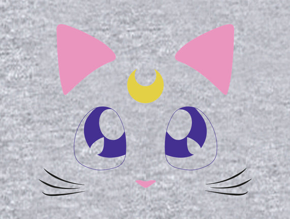 Advisor Cat