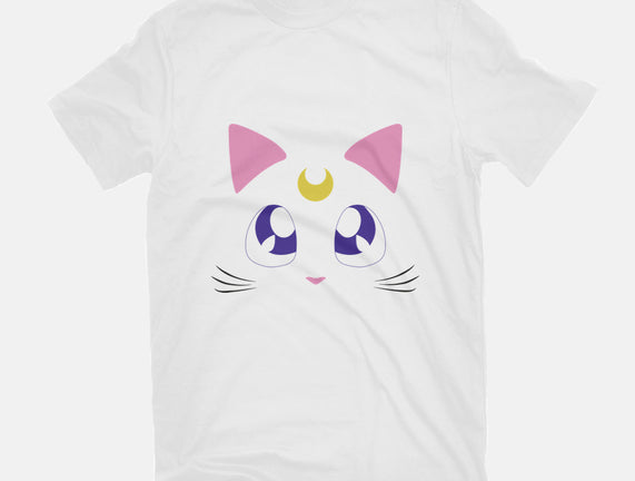Advisor Cat