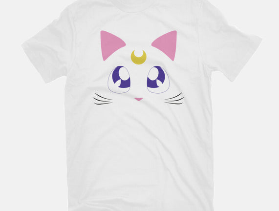 Advisor Cat