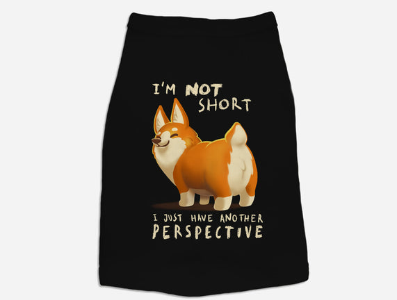 Another Perspective