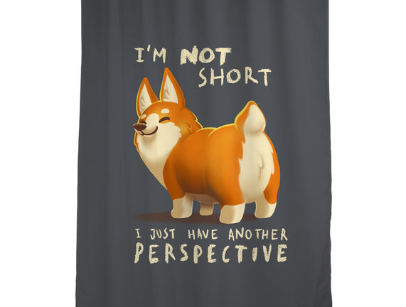 Another Perspective