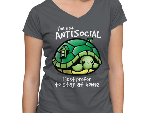 Antisocial Turtle