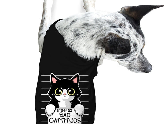Bad Cattitude