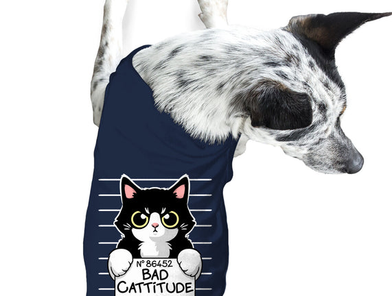Bad Cattitude