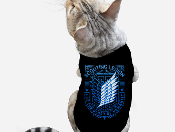 Scouting Legion