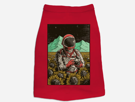 Space Flowers