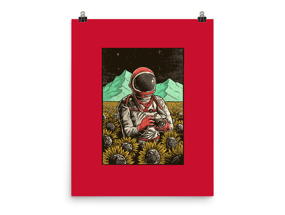 Space Flowers