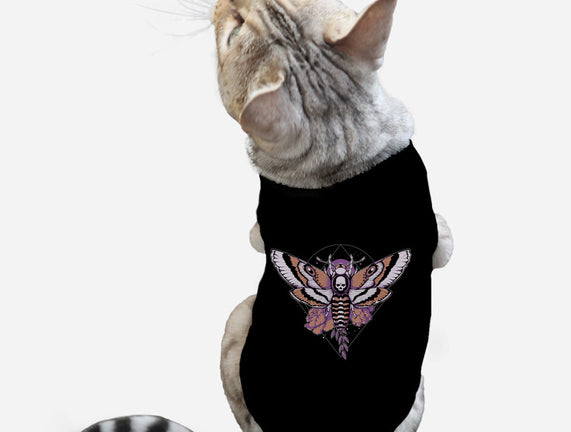 Death Moth