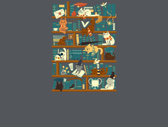 Library Magic School