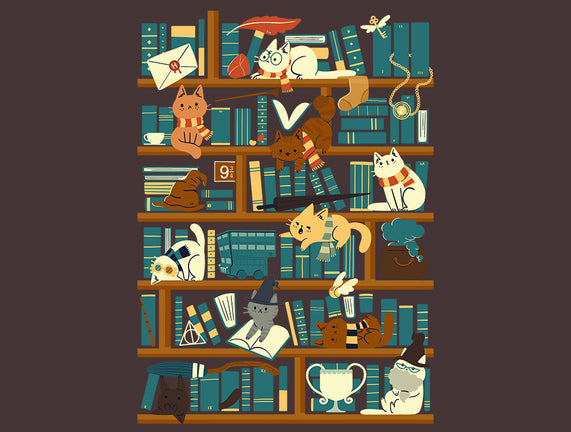Library Magic School