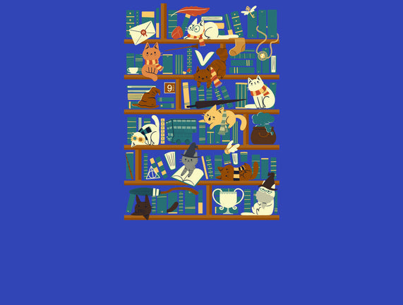 Library Magic School