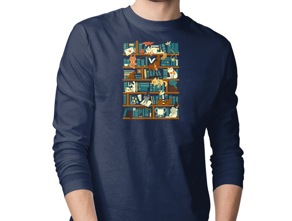 Library Magic School