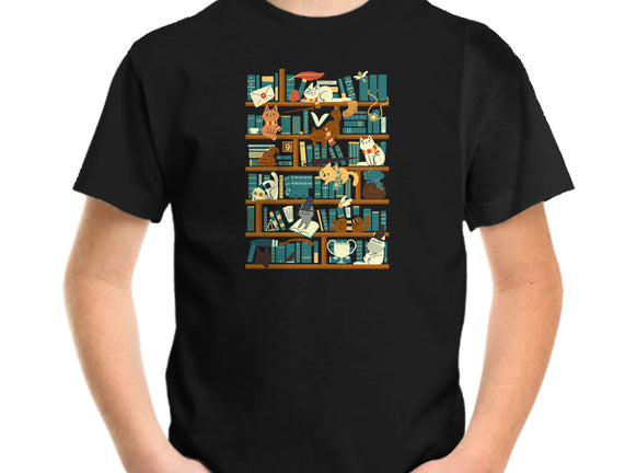 Library Magic School