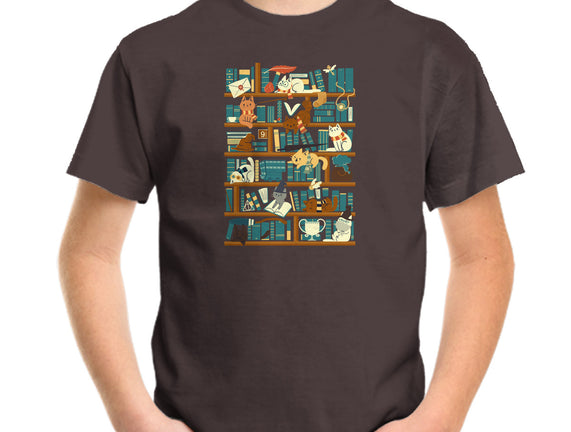 Library Magic School