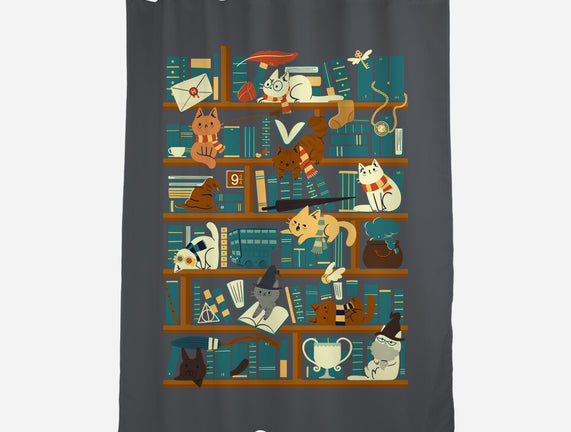 Library Magic School